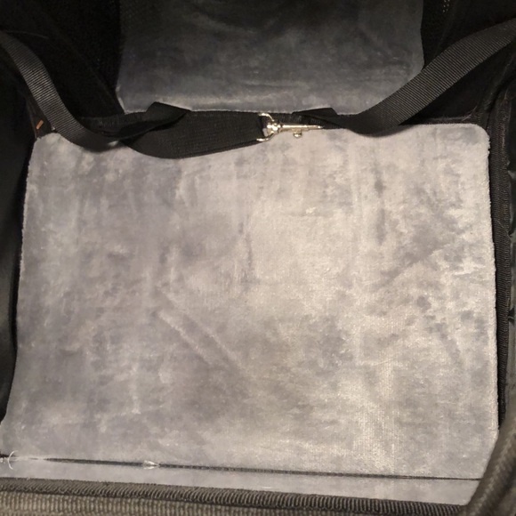 Pecute Cat π Backpack π - Picture 7 of 11